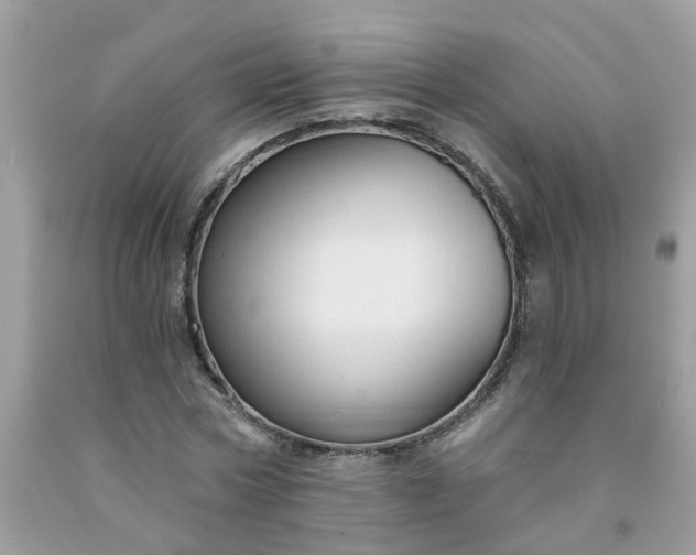 X0000091690778200709061124