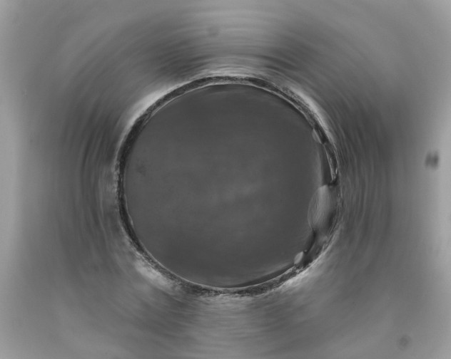 X0000091690779200709061124