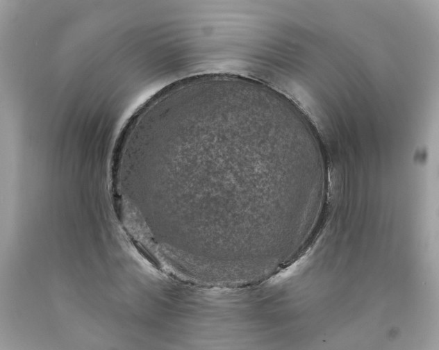 X0000091690780200709061124