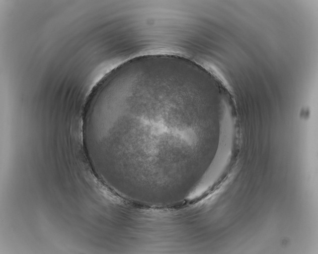 X0000091690781200709061124