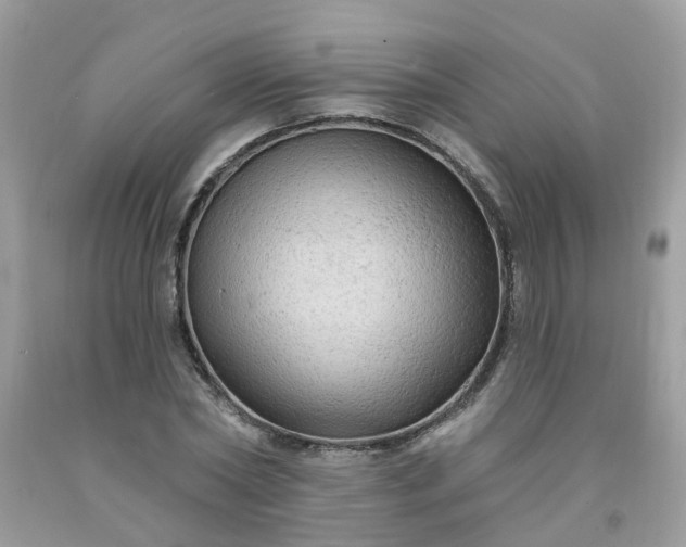 X0000091690782200709061124