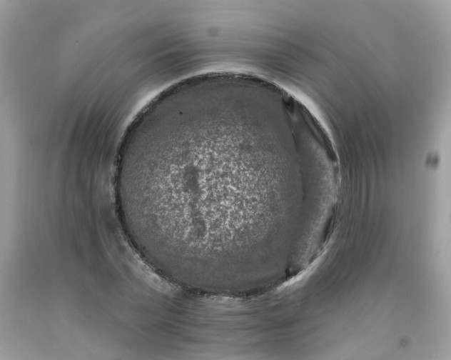 X0000091690783200709061124