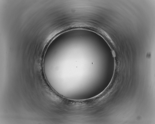 X0000091690786200709061124