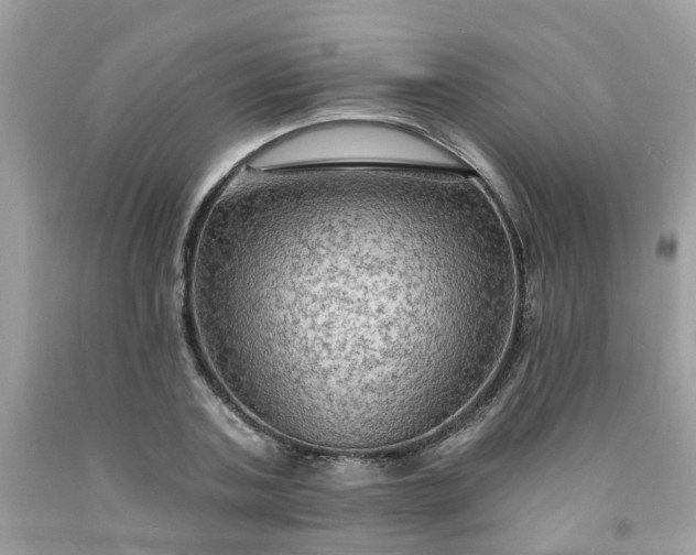 X0000091690787200709061124