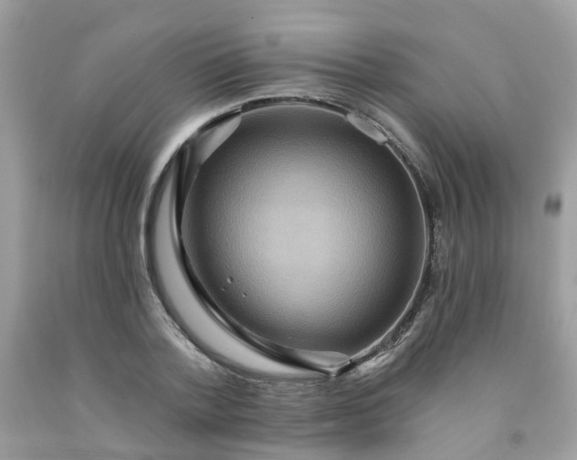 X0000091690788200709061124