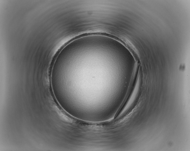 X0000091690789200709061124