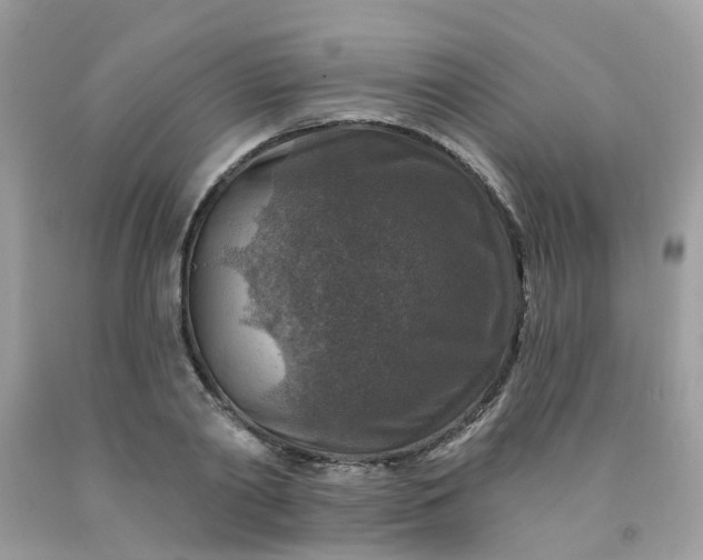 X0000091690790200709061124