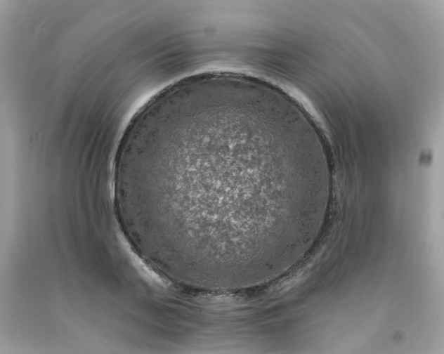 X0000091690791200709061124