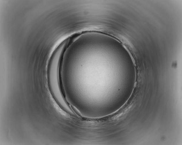 X0000091690792200709061124