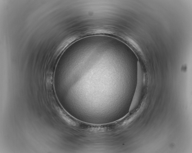 X0000091690793200709061124