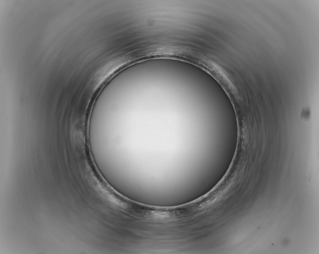 X0000091690794200709061124