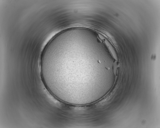 X0000091690796200709061124