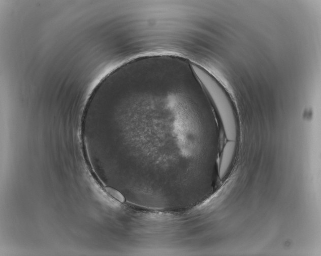 X0000091690797200709061124