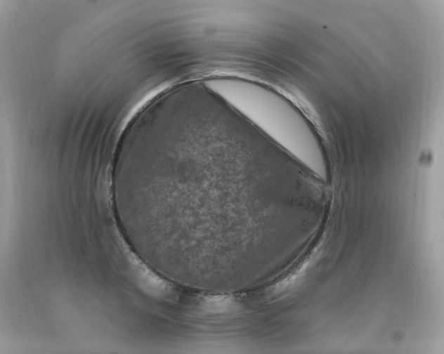 X0000091690798200709061124