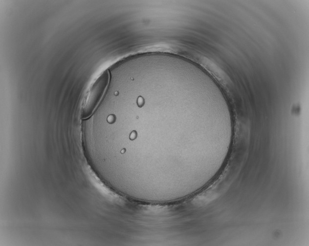 X0000091690800200709061124