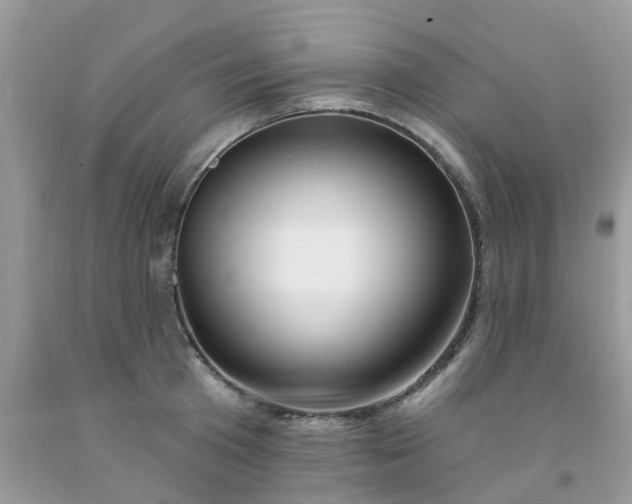 X0000091690801200709061124