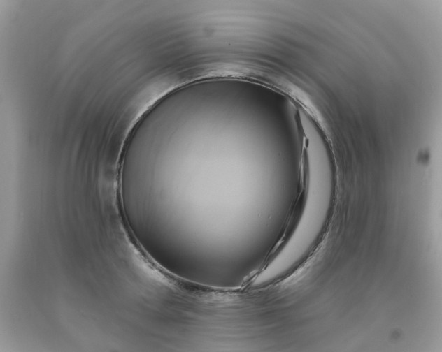 X0000091690802200709061124