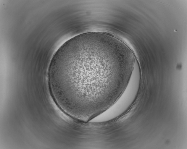 X0000091690803200709061124