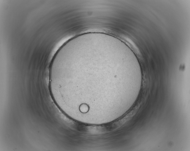 X0000091690804200709061124