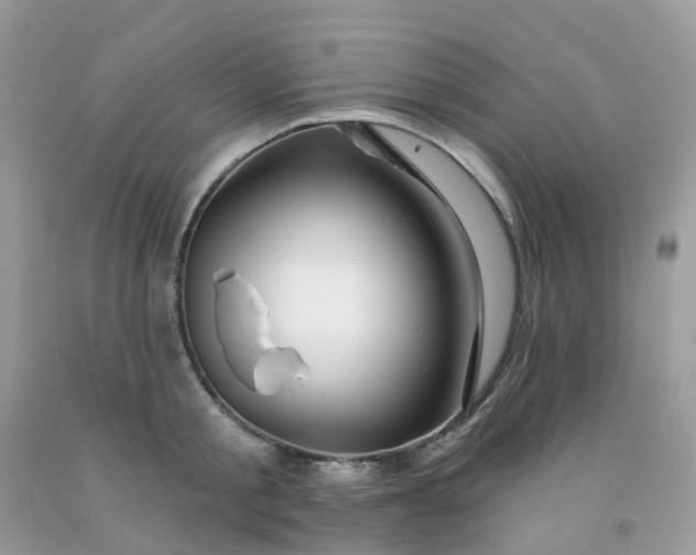 X0000091690805200709061124