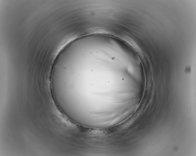 X0000091690806200709061124