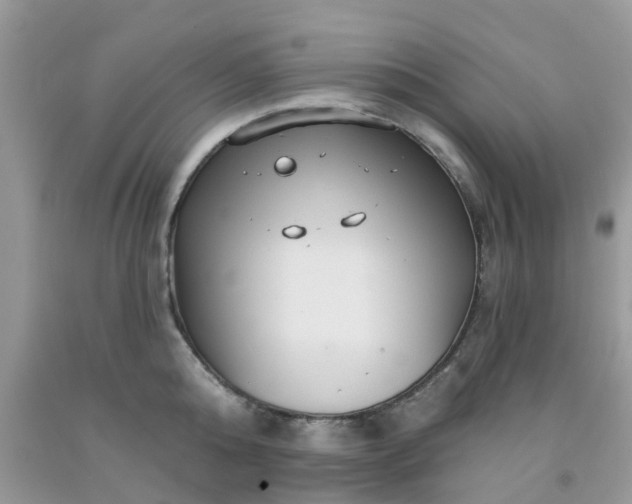 X0000091690808200709061124