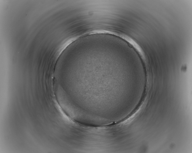 X0000091690809200709061124