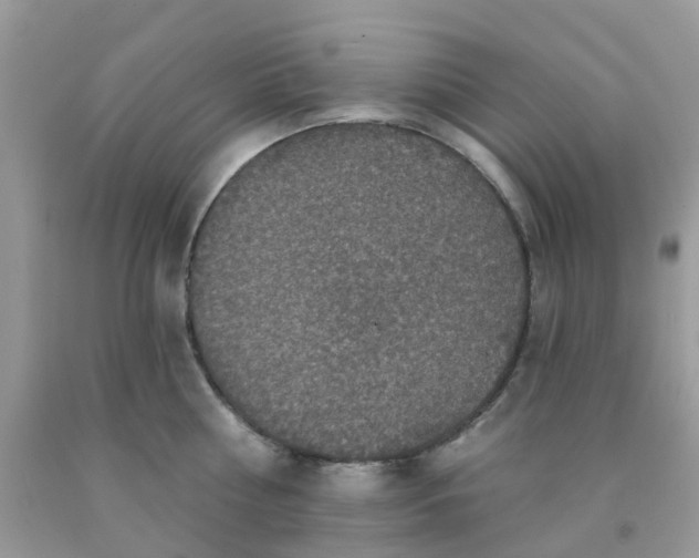 X0000091690810200709061124