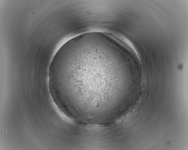 X0000091690811200709061124