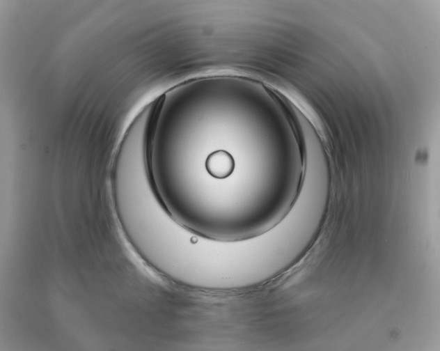 X0000091690813200709061124