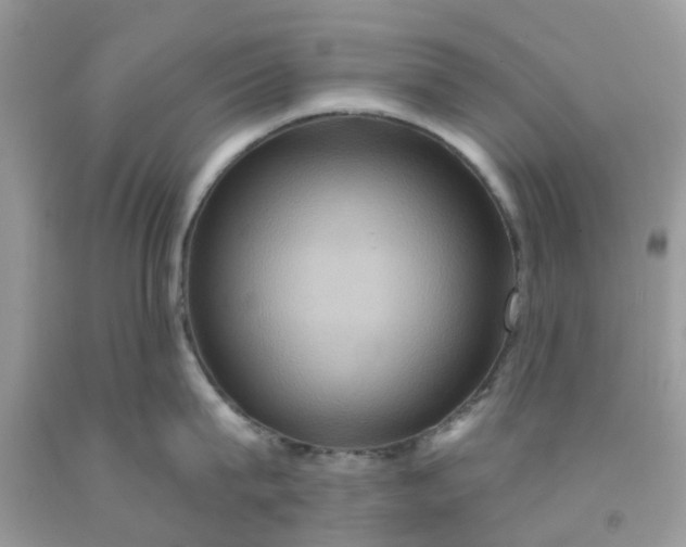 X0000091690815200709061124