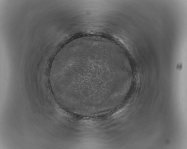 X0000091690817200709061123