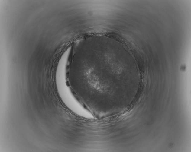 X0000091690818200709061123