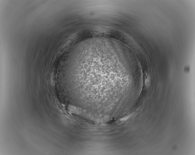 X0000091690819200709061123