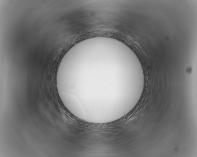 X0000091690820200709061123