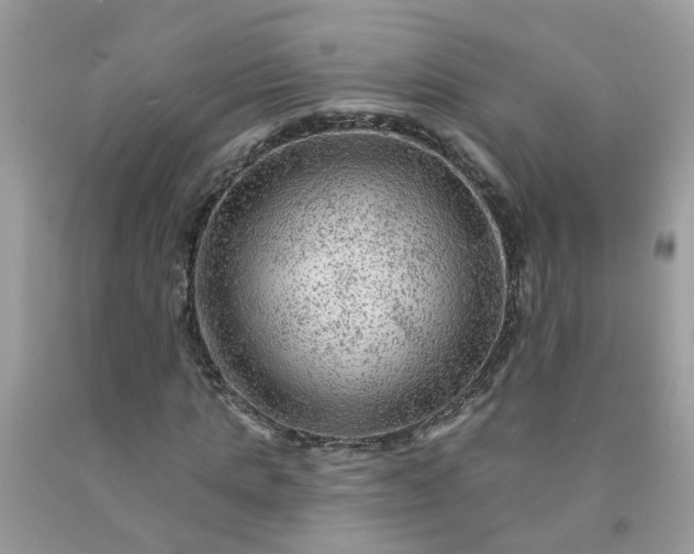 X0000091690821200709061123