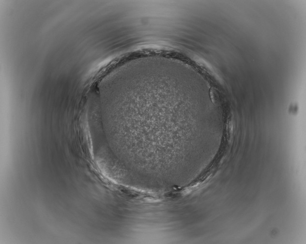 X0000091690822200709061123