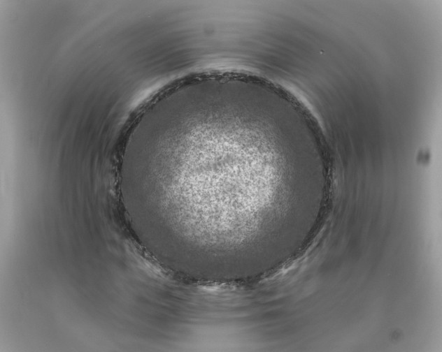 X0000091690823200709061123