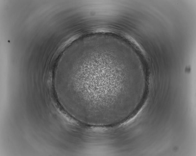 X0000091690825200709061123