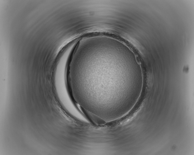 X0000091690826200709061123