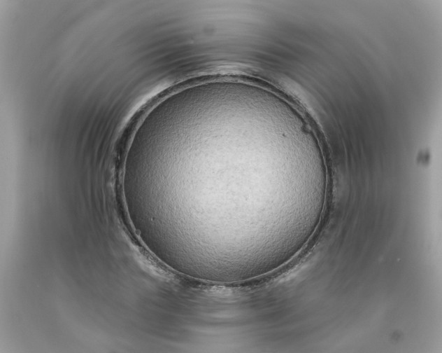 X0000091690827200709061123