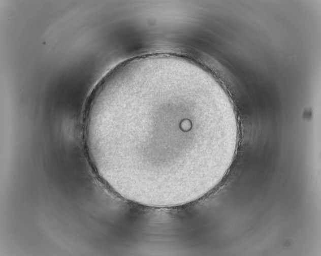 X0000091690828200709061123