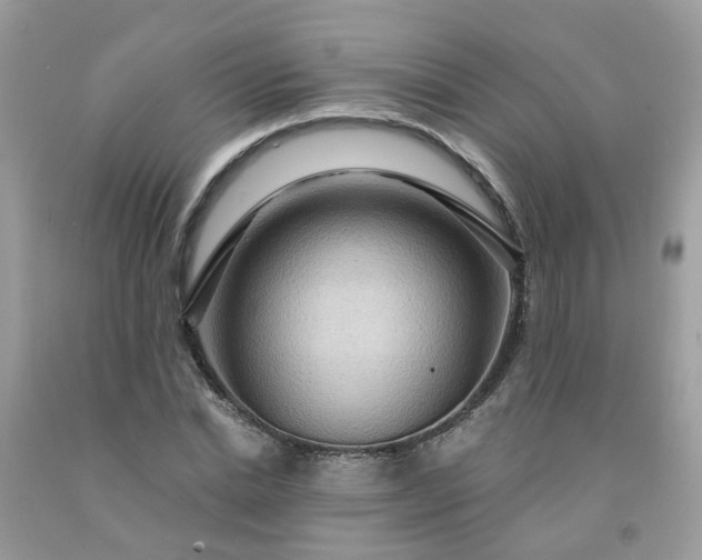 X0000091690830200709061123