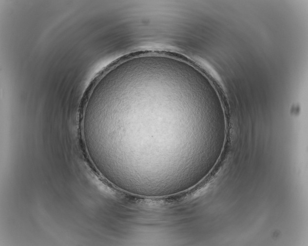 X0000091690831200709061123