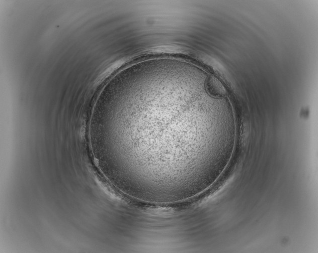 X0000091690833200709061123