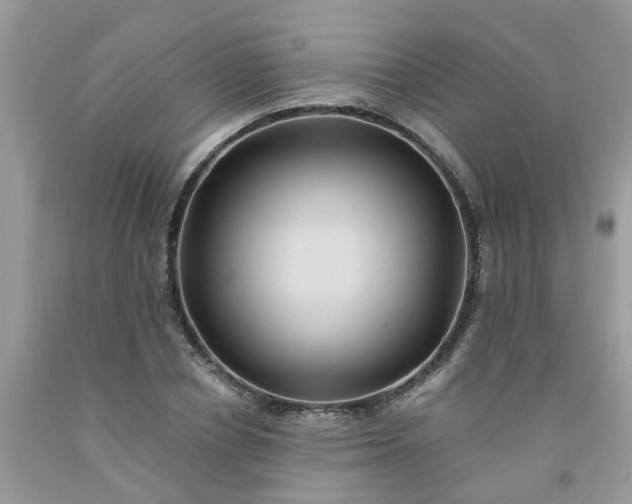 X0000091690834200709061123