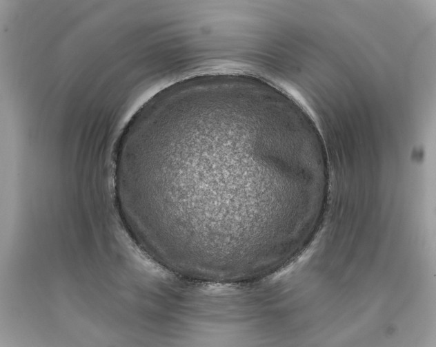 X0000091690835200709061123