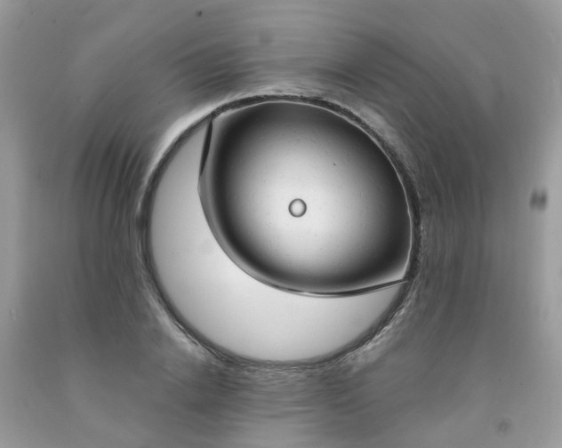 X0000091690838200709061123