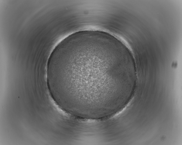 X0000091690839200709061123