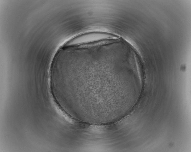 X0000091690840200709061123